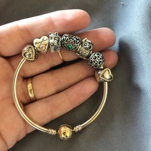 Pandora charm bracelet with 5 charms